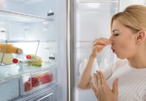 how to remove odor from fridge and freezer