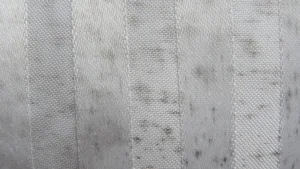 Close-up of fabric with mold stains and musty odor spots