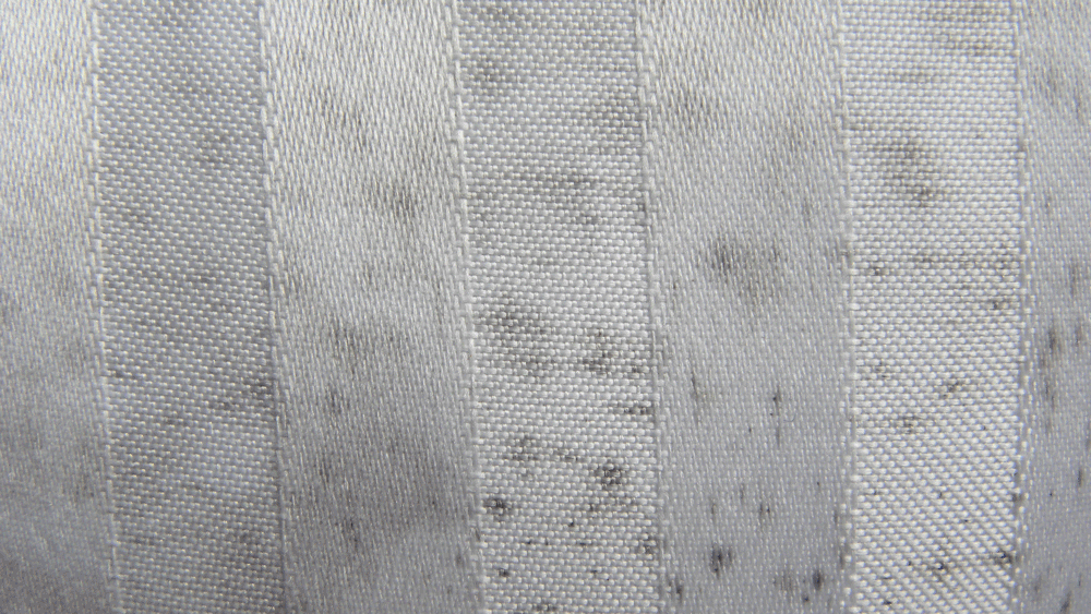 Close-up of fabric with mold stains and musty odor spots