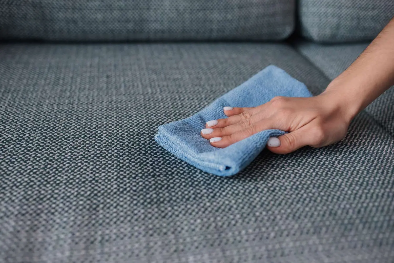Fabric sofa cushion covers drying after cleaning to maintain freshness