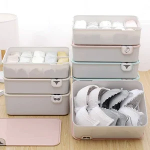 closet with labeled storage boxes for underwear organization