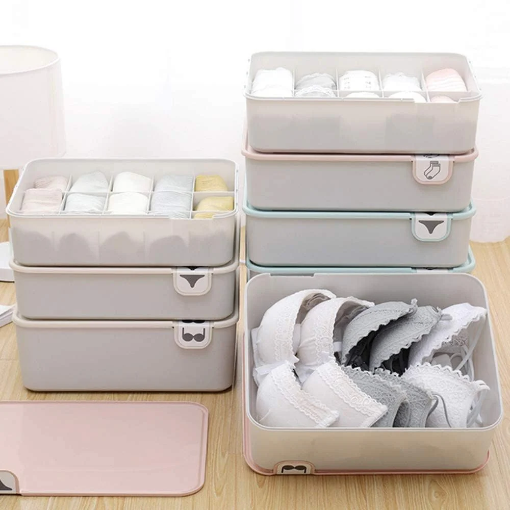 closet with labeled storage boxes for underwear organization